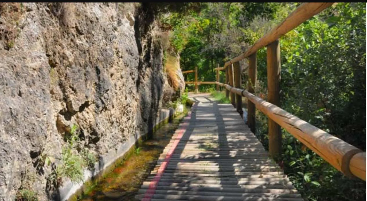 Camping Ruta Del Purche Monachil